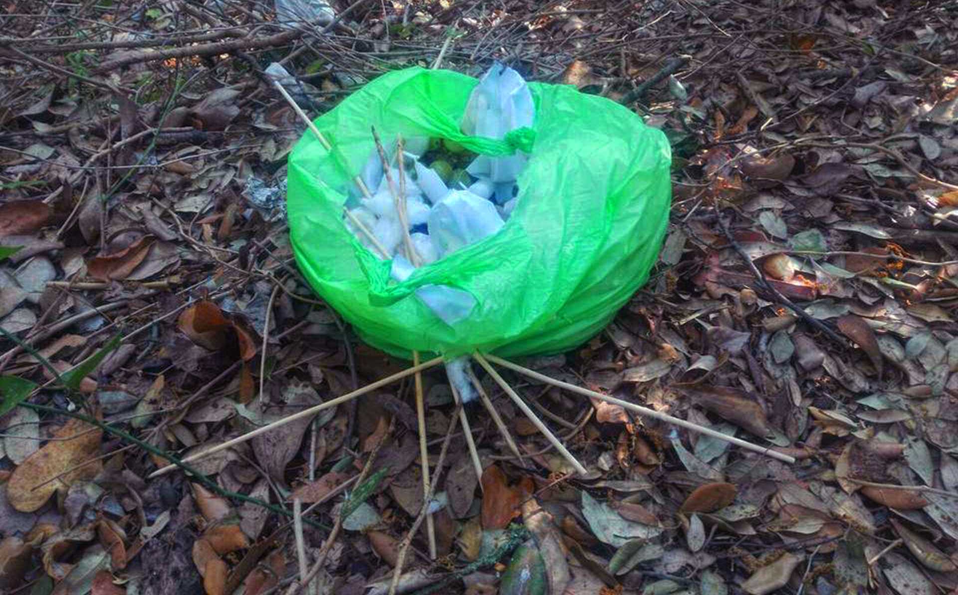 Trovati alle 18,30 due nuovi inneschi nella Pineta di Castelfusano di Ostia